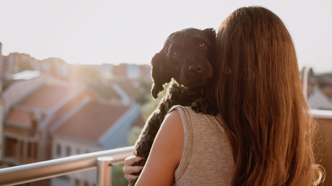 Celebrating Pet Appreciation Week: The Joyful Bonds Between Humans and Their Furry Companions