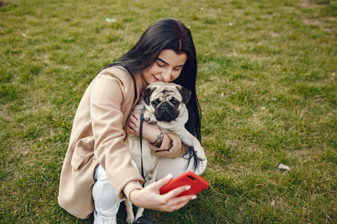 National Dog Photography Day July 26th: Celebrating Our Furry Friends Through the Lens