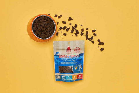 Homemade Dog Treats: What Makes Healthy Dog Treats and Tips on How to Make Them Yourself