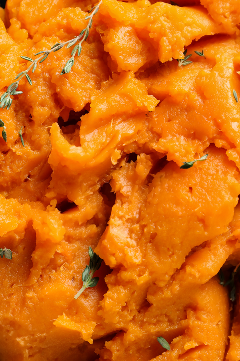 Sweet Potato for Dogs – A Quick Guide for Dog Owners