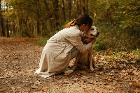 The 4 Benefits Our Pets Provide to Us