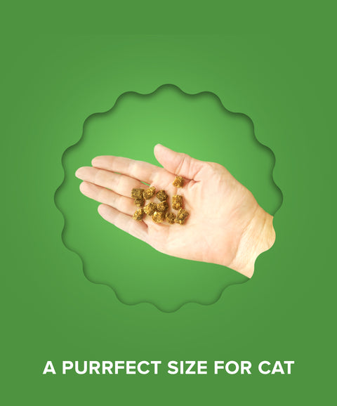 Chicken & Catnip Cat Treats