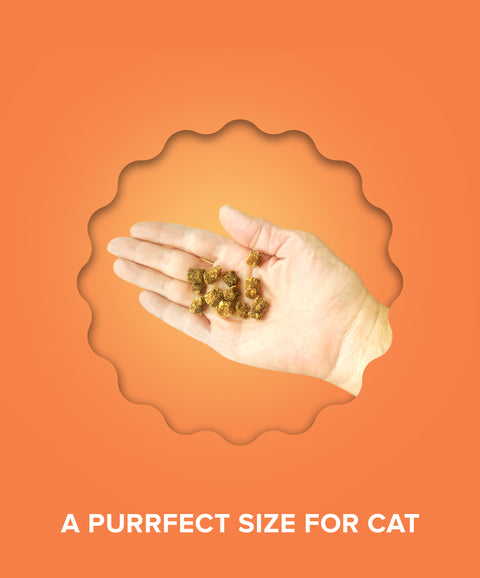Chicken Cat Treats