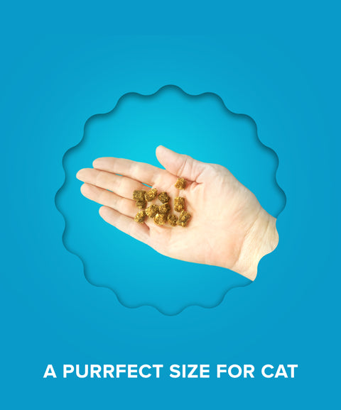 Tuna & Salmon Cat Treats