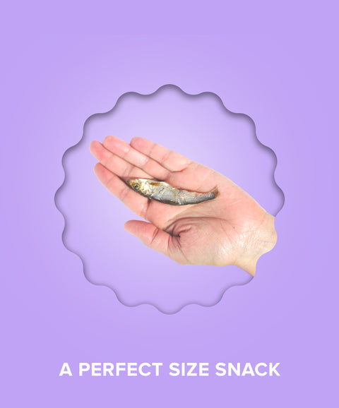 Baltic Sprat Cat Treats