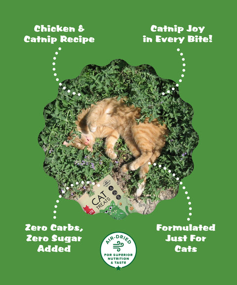 Chicken & Catnip Cat Treats