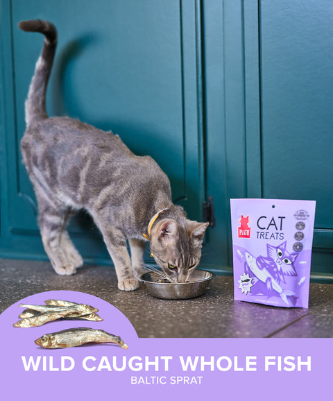 Baltic Sprat Cat Treats