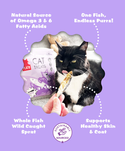 Baltic Sprat Cat Treats