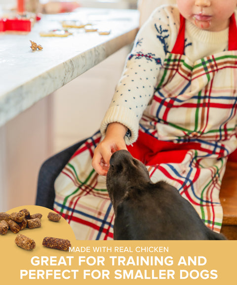 Small Bites Chicken Gingerbread Recipe