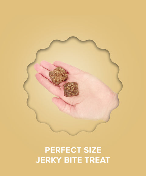 Beef with Bone Broth Jerky Bites