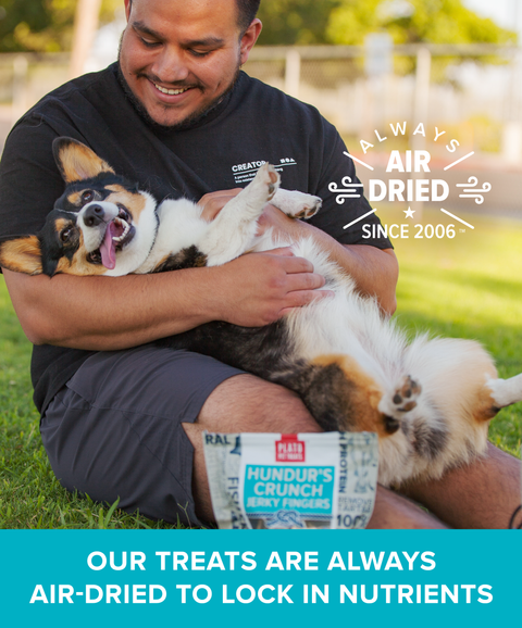 Hundur's Crunch Jerky Fingers Fish Dog Treats
