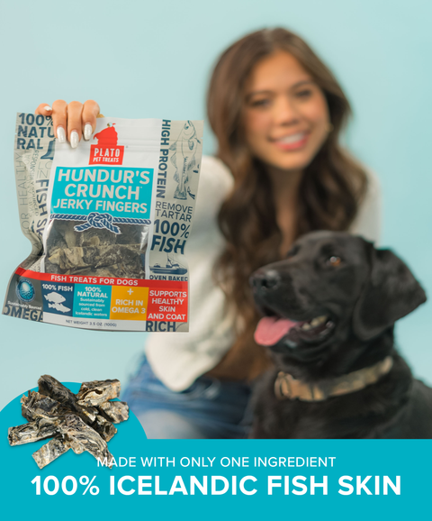 Hundur's Crunch Jerky Fingers Fish Dog Treats