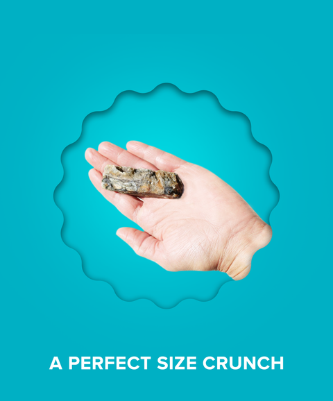Hundur's Crunch Jerky Fingers Fish Dog Treats