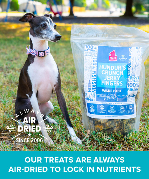 Hundur's Crunch Jerky Fingers 2lb Value Pack
