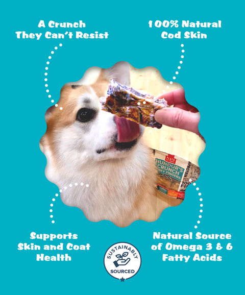 Hundur's Crunch Jerky Fingers Fish Dog Treats