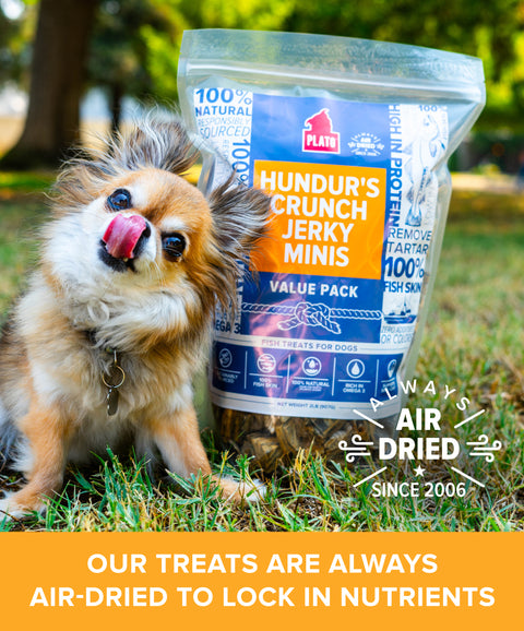 Hundur's Crunch Jerky Minis 2lb Value Pack