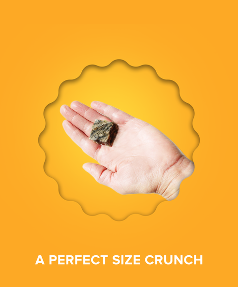 Hundur's Crunch Jerky Minis 2lb Value Pack