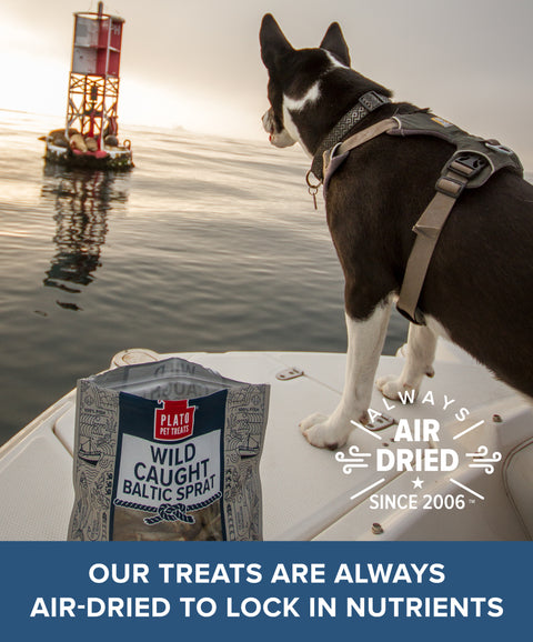 Wild Caught Baltic Sprat Fish Dog Treats