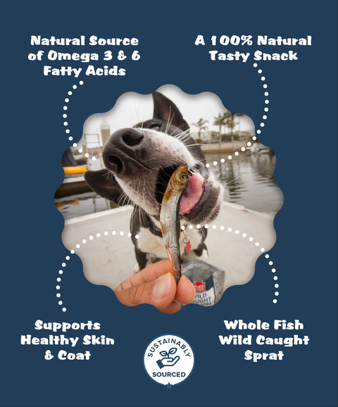 Wild Caught Baltic Sprat Fish Dog Treats