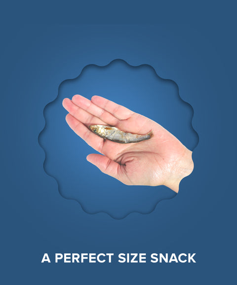 Wild Caught Baltic Sprat Fish Dog Treats