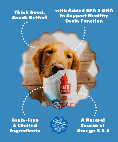 Thinkers Salmon Meat Stick Dog Treats