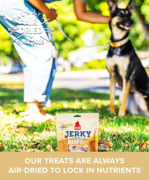 Beef with Bone Broth Jerky Bites