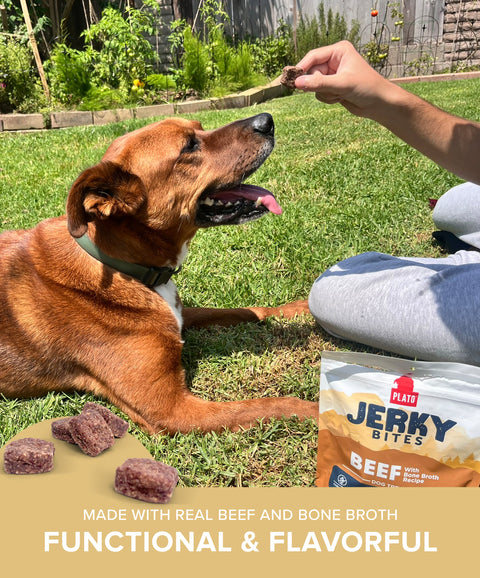 Beef with Bone Broth Jerky Bites