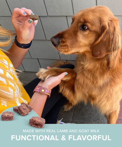 Lamb with Goat Milk Jerky Bites