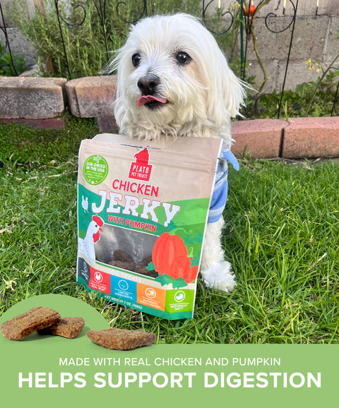 Chicken with Pumpkin Jerky
