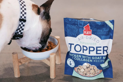 ASTRO-Deals-July-24 Plato Pet