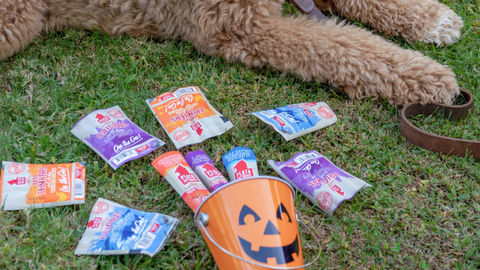 Plato’s Trick for Treats Bag Returns For A Limited Time!