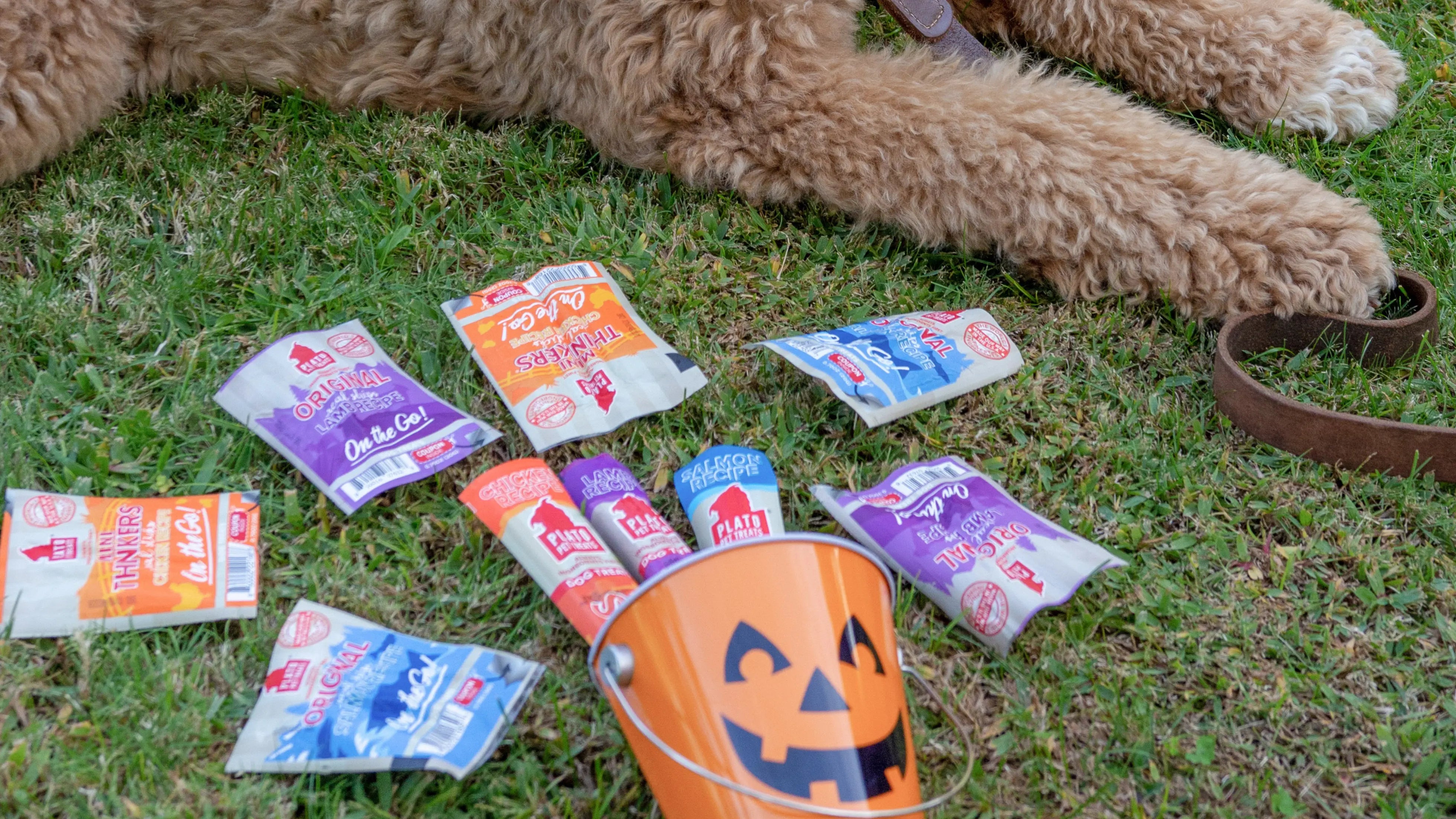 Plato-s-Trick-for-Treats-Bag-Returns-For-A-Limited-Time Plato Pet