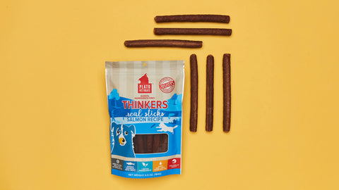 The-Benefits-of-Salmon-in-Your-Dog-s-Diet Plato Pet