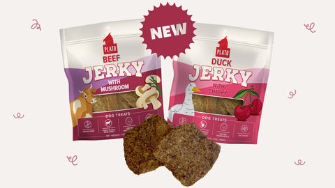Plato-Pet-Treats-Newest-Jerky-Sensations Plato Pet