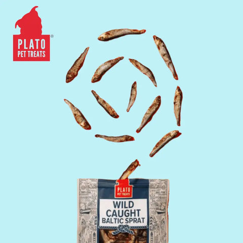 Featured-Ingredient-Blog-The-Importance-of-Omega-3-Fatty-Acids-in-Your-Dog-s-Diet Plato Pet