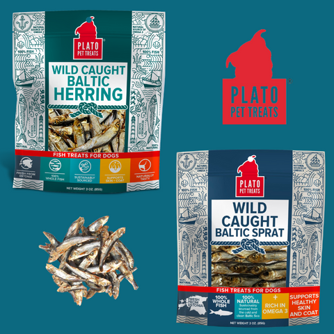 Featured Product Blog: Wild Caught Baltic Herring and Sprat 