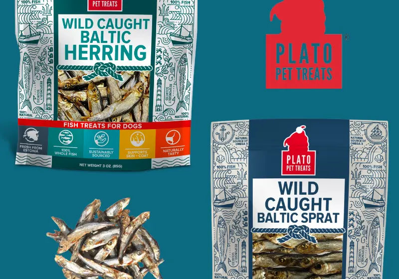 Featured-Product-Blog-Wild-Caught-Baltic-Herring-and-Sprat Plato Pet