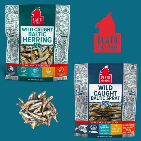 Featured-Product-Blog-Wild-Caught-Baltic-Herring-and-Sprat Plato Pet