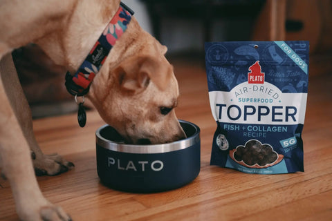 Unleashing-The-Goodness-The-Benefits-of-Plato-s-Superfood-Toppers Plato Pet