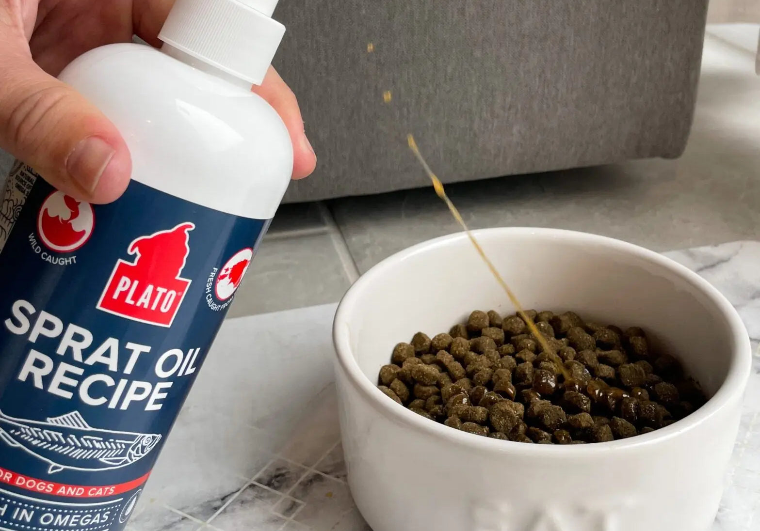 Benefits-of-Fish-Oil-In-Your-Pet-s-Food Plato Pet