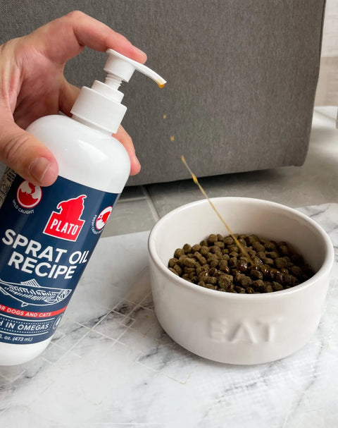 Benefits-of-Fish-Oil-In-Your-Pet-s-Food Plato Pet