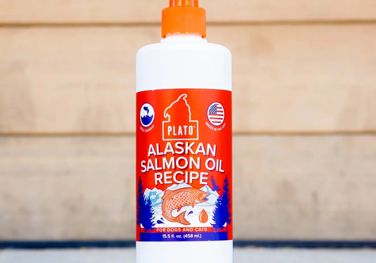 Featured-Product-Blog-Alaskan-Salmon-Oil Plato Pet