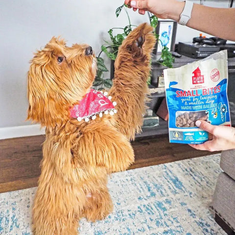 Benefits-of-Low-Calorie-Treats Plato Pet