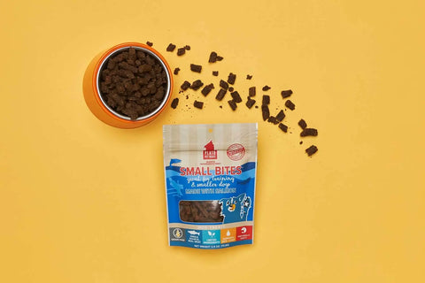 Homemade-Dog-Treats-What-Makes-Healthy-Dog-Treats-and-Tips-on-How-to-Make-Them-Yourself Plato Pet