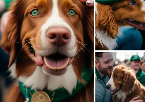 A-Guide-to-Dog-Friendly-St.-Patrick-s-Day-Festivals-and-Parades Plato Pet
