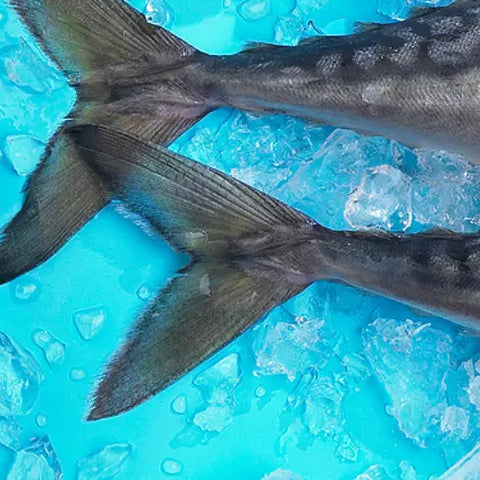 FISH-OIL-THE-BENEFITS-OF-OMEGA-3-AND-6-FATTY-ACIDS Plato Pet