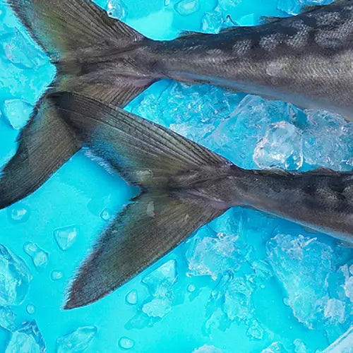 FISH-OIL-THE-BENEFITS-OF-OMEGA-3-AND-6-FATTY-ACIDS Plato Pet