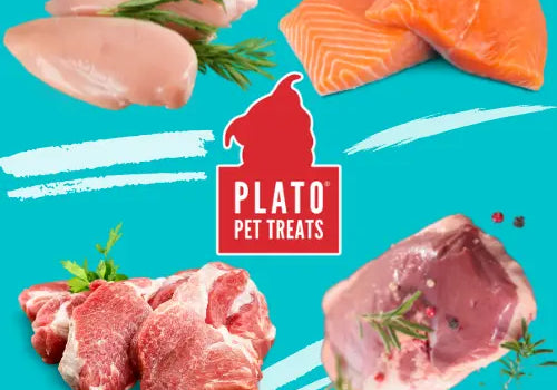 Featured-Ingredient-Protein Plato Pet