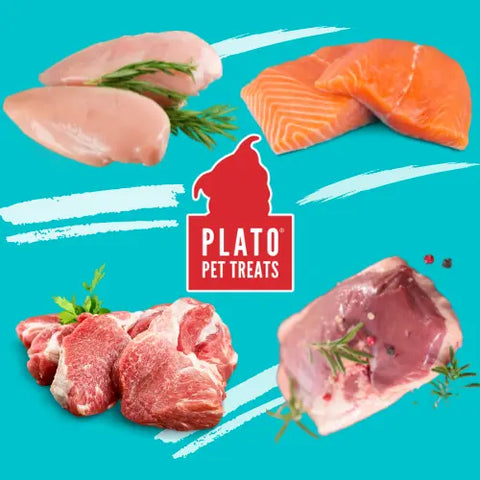 Featured-Ingredient-Protein Plato Pet