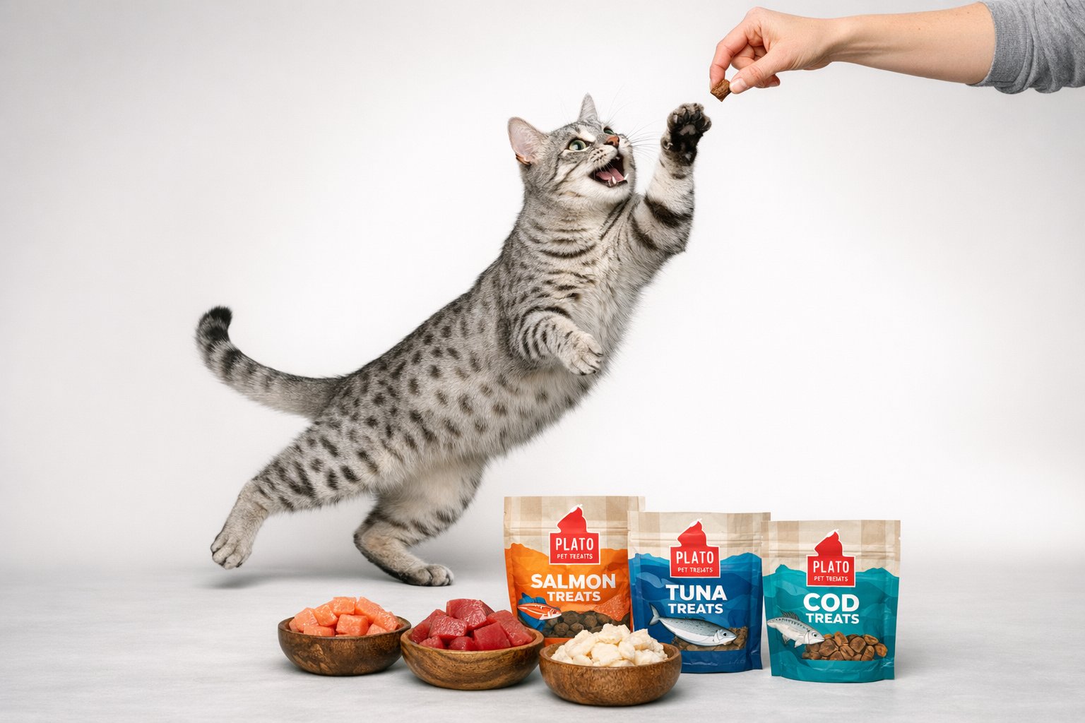 Cat enjoying fish treats while comparing salmon tuna and cod options